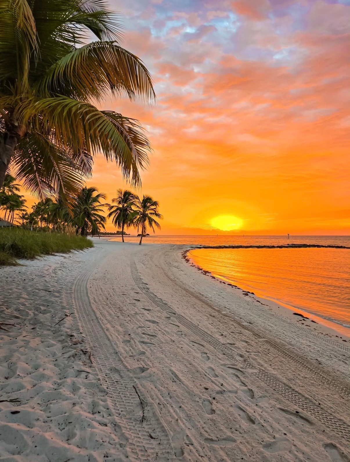 Palms along a curving sandy beach at an orange sunset